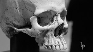 Skull BW