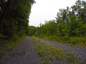 DCIM100GOPROG0196581.