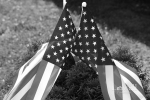 flags2bw